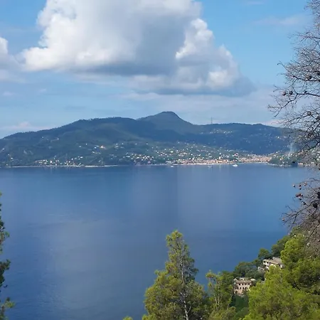 Davanti Al Mare, Fra Portofino E Le 5 Terre - In Front Of The Sea, Between Portofino And The 5 Terre 公寓